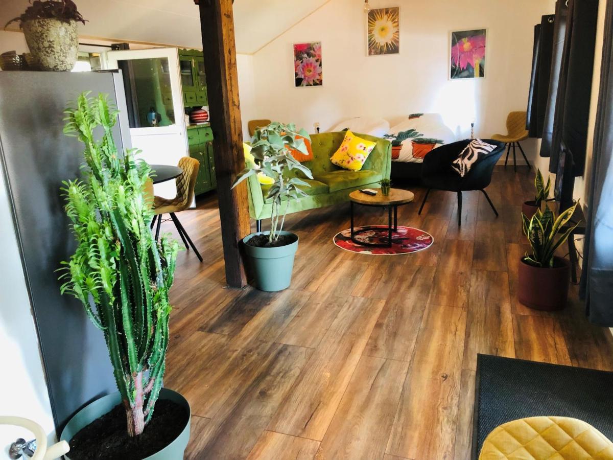 B &B Yuupke Maasbree Noord-Limburg Venlo Roermond Bed & Breakfast ภายนอก รูปภาพ