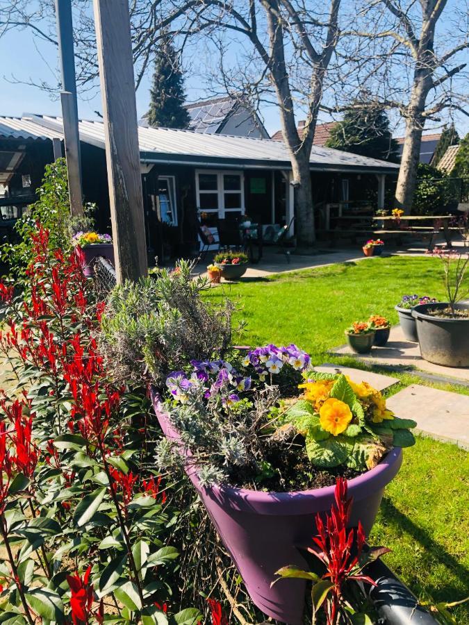 B &B Yuupke Maasbree Noord-Limburg Venlo Roermond Bed & Breakfast ภายนอก รูปภาพ