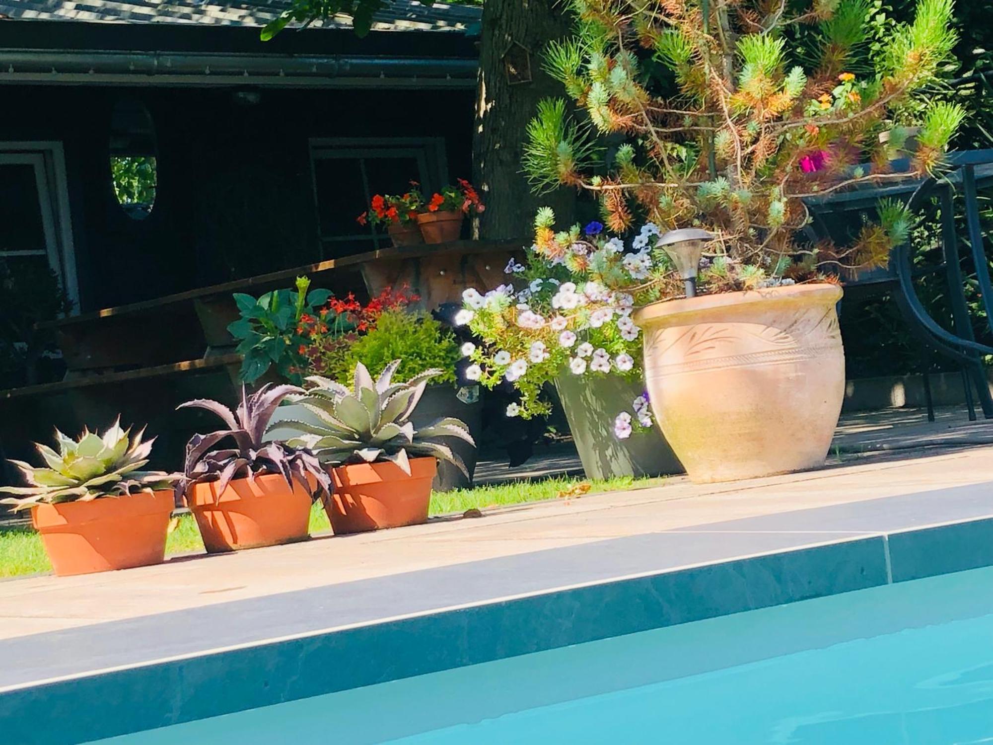 B &B Yuupke Maasbree Noord-Limburg Venlo Roermond Bed & Breakfast ภายนอก รูปภาพ